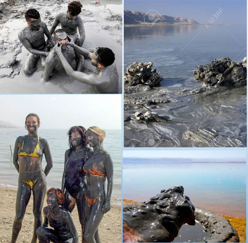 死海の海